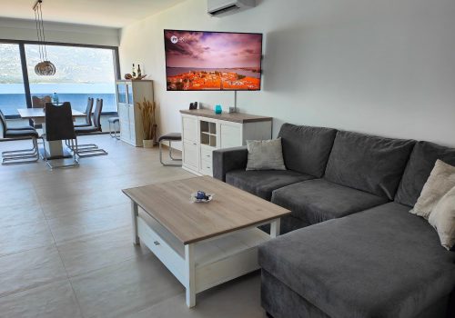 Living room TV sofa